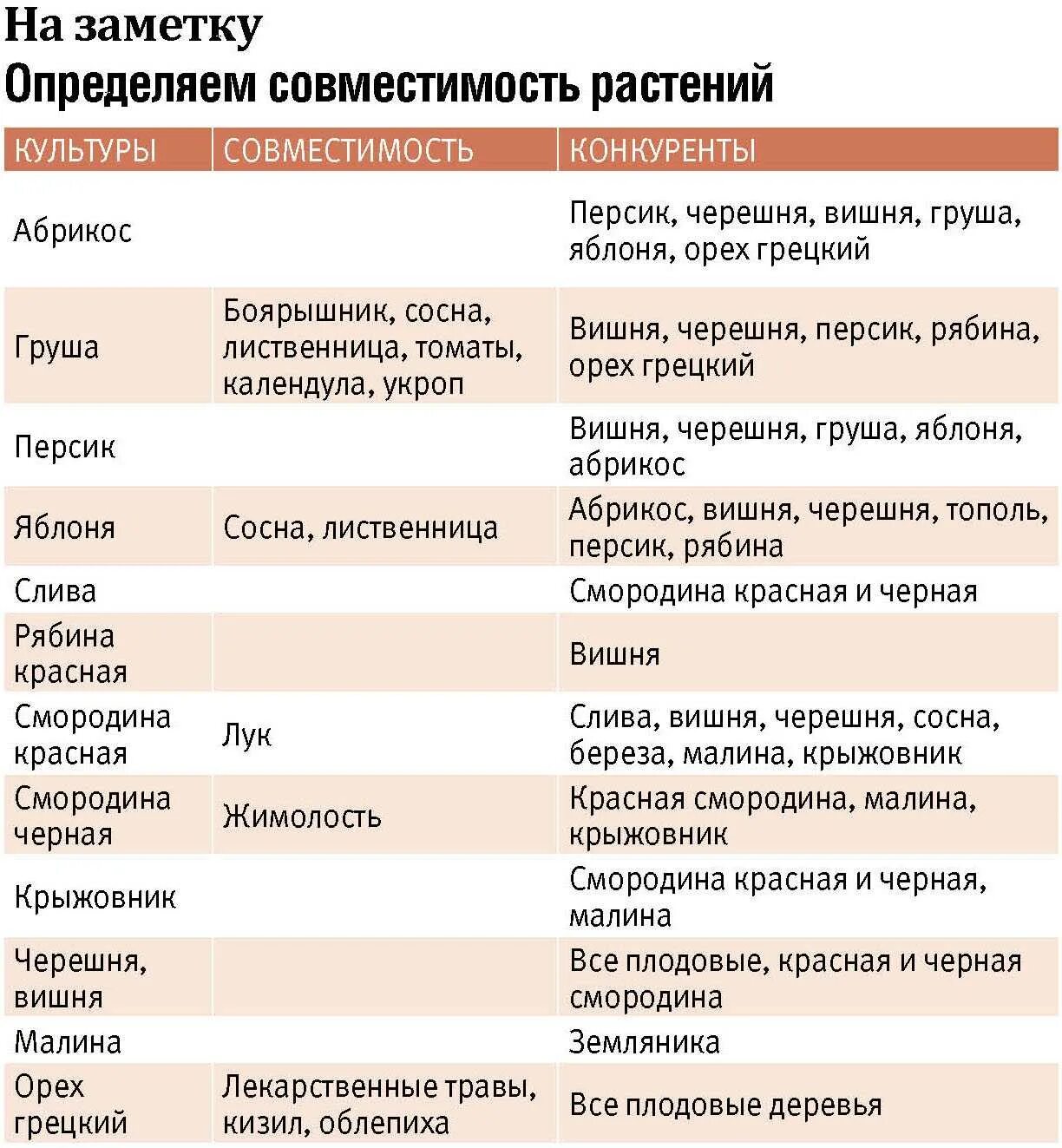 Можно ли рядом со сливой. Таблица совместимости плодовых деревьев и кустарников. Совместимость посадок плодовых деревьев и кустарников таблица. Таблица совместимости плодово-ягодных деревьев и кустарников. Совместимость посадки плодовых деревьев и кустарников в саду.