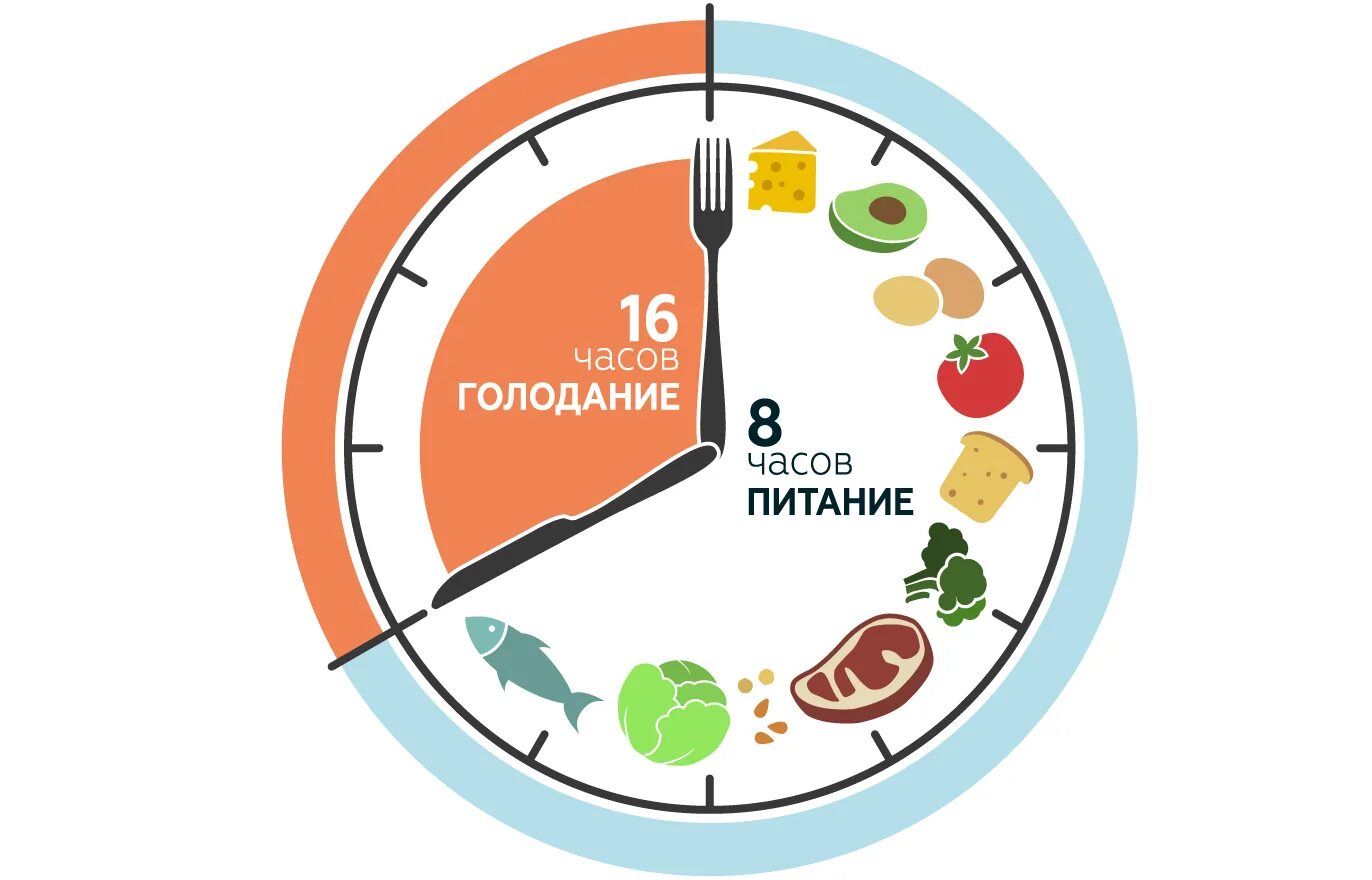 Интервальное голодание 16/8 схема. Интервальное голодание 16/8 схема для начинающих. Интервальное питание схема. Интервальное голодание 16/8 схема по часам.