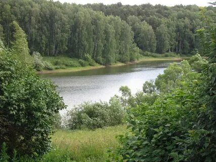 Погода в сенницах 2