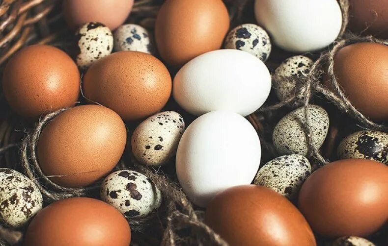Чем отличаются перепелиные от куриных. Яйца разные. куриные яйца. яйцо перепелиное. фото куриных и перепелиных яиц.