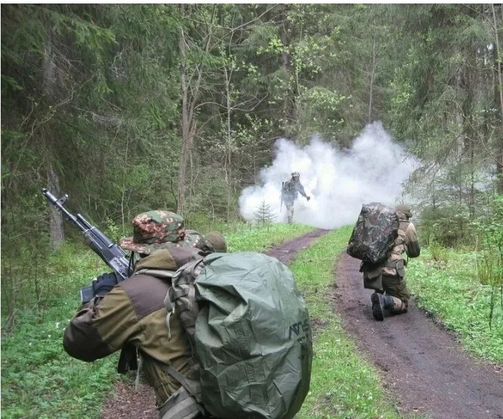 Боевой дозор. Тактическая разведка. Разведка местности. Разведка в засаде. Боевые действия в лесу.