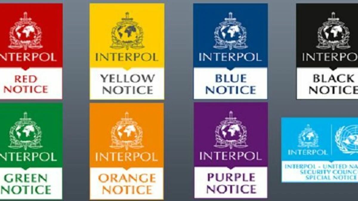 Red Notice Интерпол. Blue Notice Интерпол. Interpol Notice. Цвета Интерпола.
