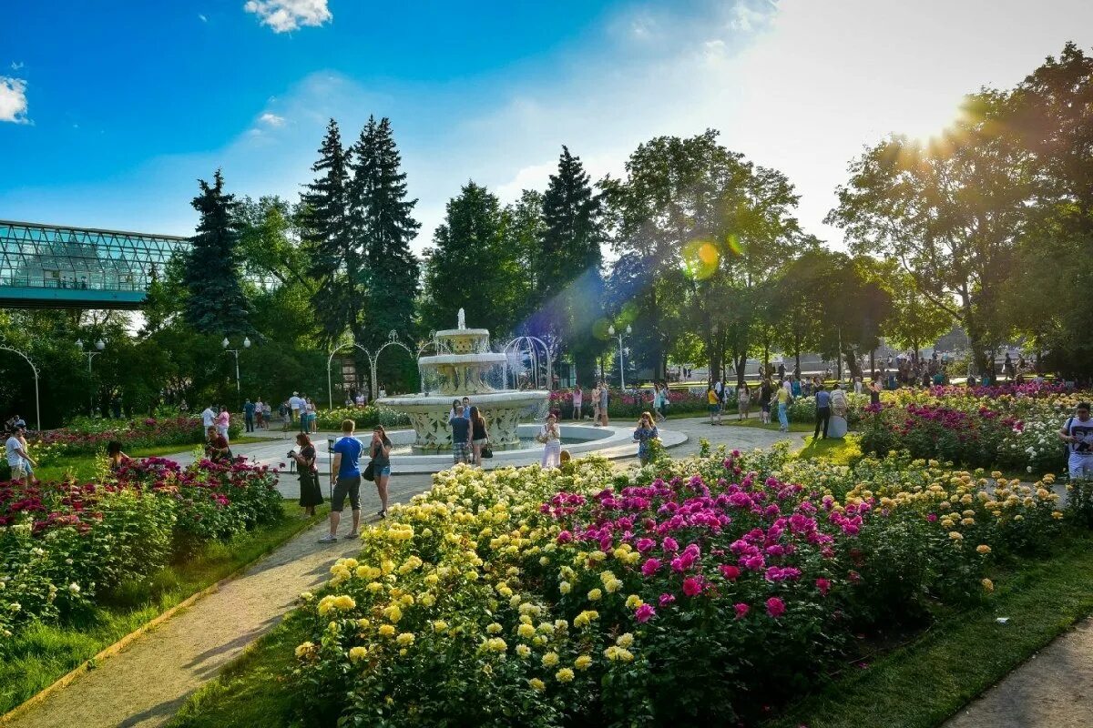 Городские парки москвы. Парк Горького Москва. Розарий в парке Горького. Парк Горького Новосибирск. Парк культуры Горького Москва.