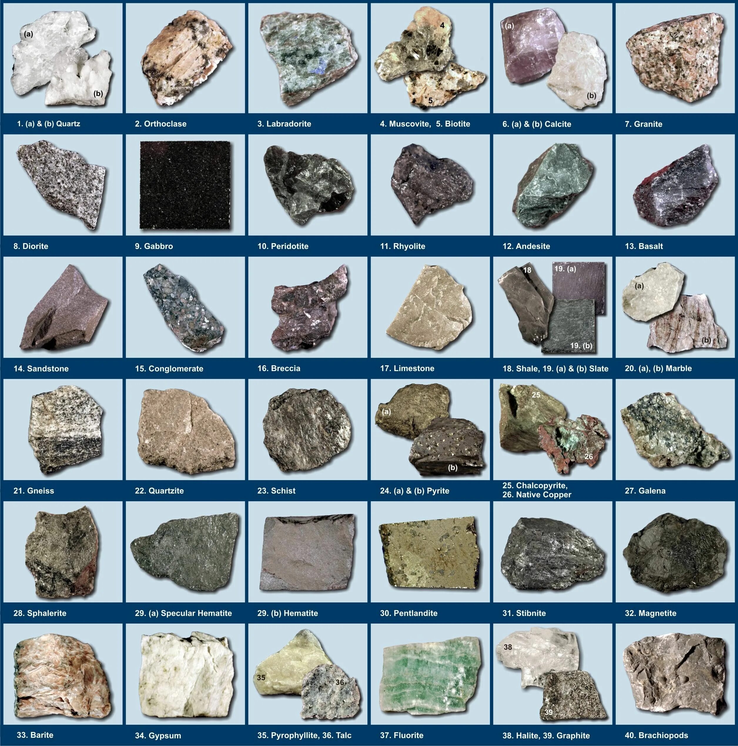 Rocks and minerals Rocks and minerals, Minerals, Rock minerals