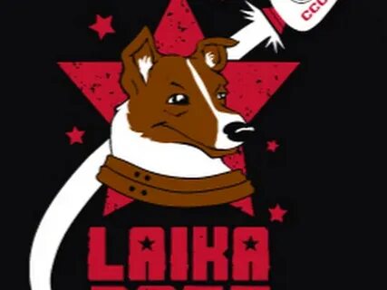 Лайка босс