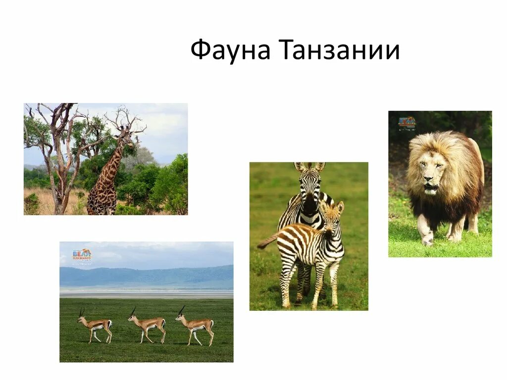 Достопримечательности Танзании (Tanzania) - День за днем - ЖЖ