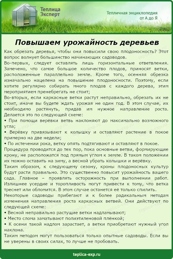 Как повысить урожайность. Сроки пересадки малины весной в средней полосе. Какие сидераты посадить под малину весной. Как убрать кислотность почвы в огороде весной. Выросла урожайность