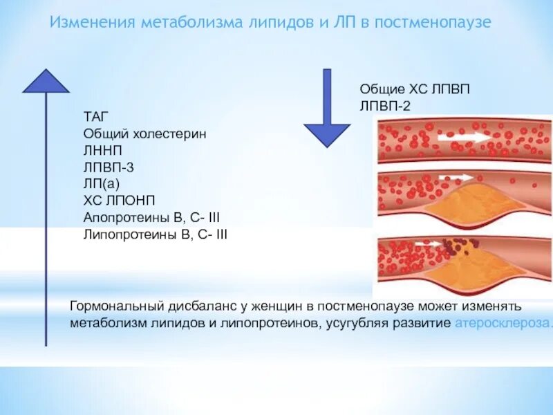 Постменопауза возраст. Хирургическая менопауза. Постменопауза что это такое у женщин. Поздняя постменопауза. Гормональный профиль в постменопаузе.