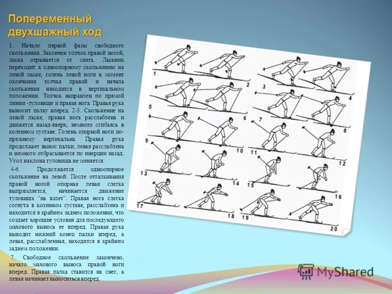 Попеременный двухшажный ход 5 фаз. Фазы попеременного двухшажного хода. Фазы попеременного двухшажного хода. Фазы попеременного двухшажного хода. Сколько фаз имеет попеременный двухшажный ход.