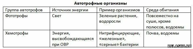 Группа автотрофных организмов. Автотрофные и гетеротрофные организмы таблица. Группы организмов автотрофов. Заполните таблицу автотрофные и гетеротрофные организмы. Автотрофные организмы таблица.