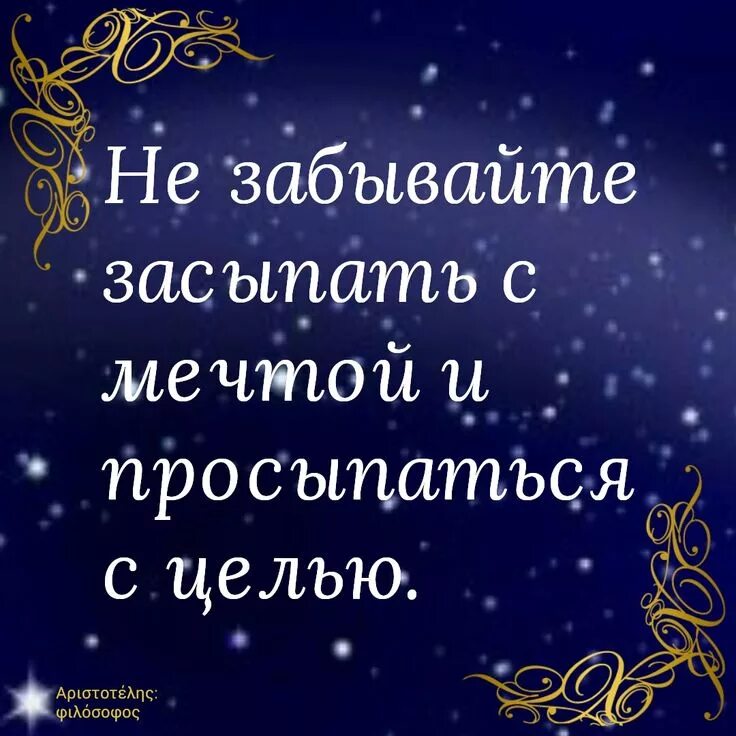 Засыпай с мечтой просыпайся с целью. Ложишься спать выключай мозги. Засыпай с мечтой просыпайся с целью. Стаффордширский терьер фото. Засыпай с мечтой а просыпайся с целью цитаты.