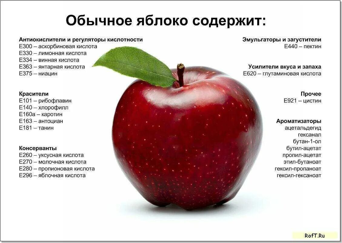 Из чего состоит яблоко