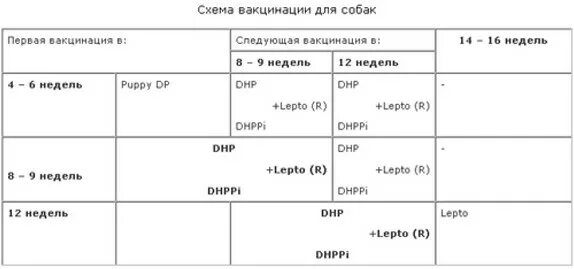 Первая прививка щенку возраст. Прививка Нобивак для собак схема вакцинации. Прививка Нобивак для щенков схема вакцинации щенков. Схема прививок Нобивак для щенков. Схема прививки Нобивак для щенков.