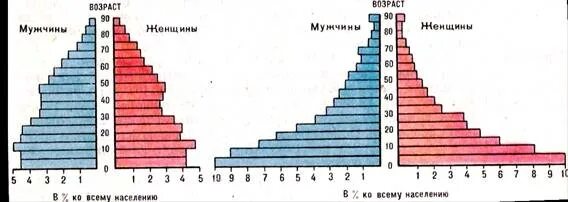 Почему мальчиков рождается больше чем девочек география. Половозрастная пирамида населения Индии. Возрастно половая пирамида Германии 2020. Возрастно половые пирамиды Индии. Возрастно-половые пирамиды населения США.