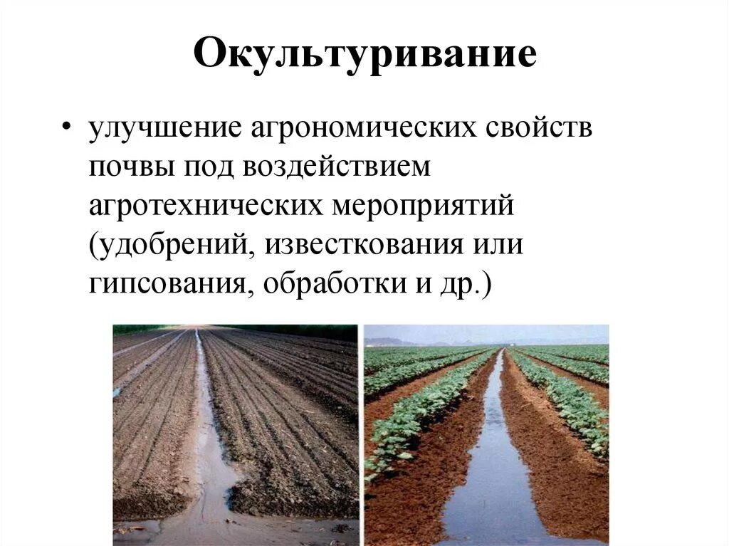 Повышение плодородие почвы называется. Окультуривание почвы. Плодородие и окультуренность почвы. Пути повышения плодородия почв. Методы повышения плодородия почвы.