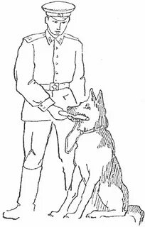 Рисование пограничник с собакой старшая группа раскраска ImmunoCap.ru