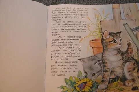 Котенок текст