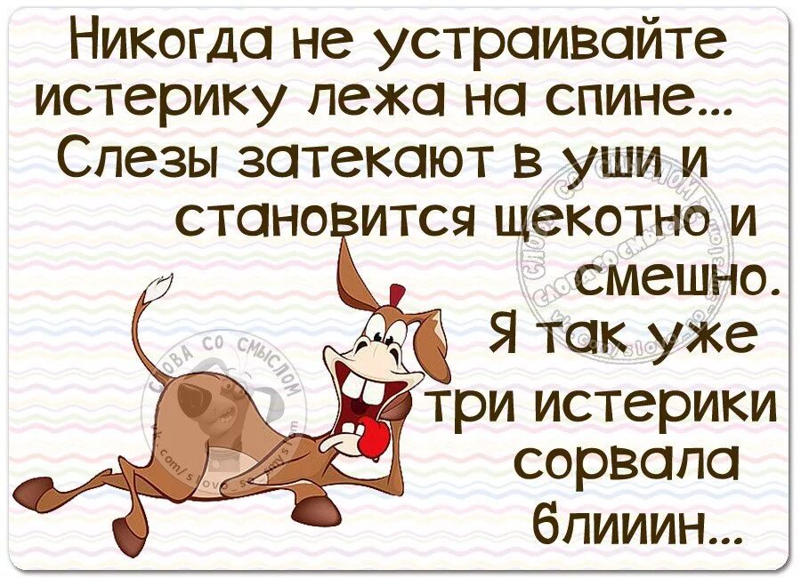 Я твоя истеричка целуй меня при всех. Статусы про истерики. Статус про истерику. Приколы про истерику. Шутки про истеричек.