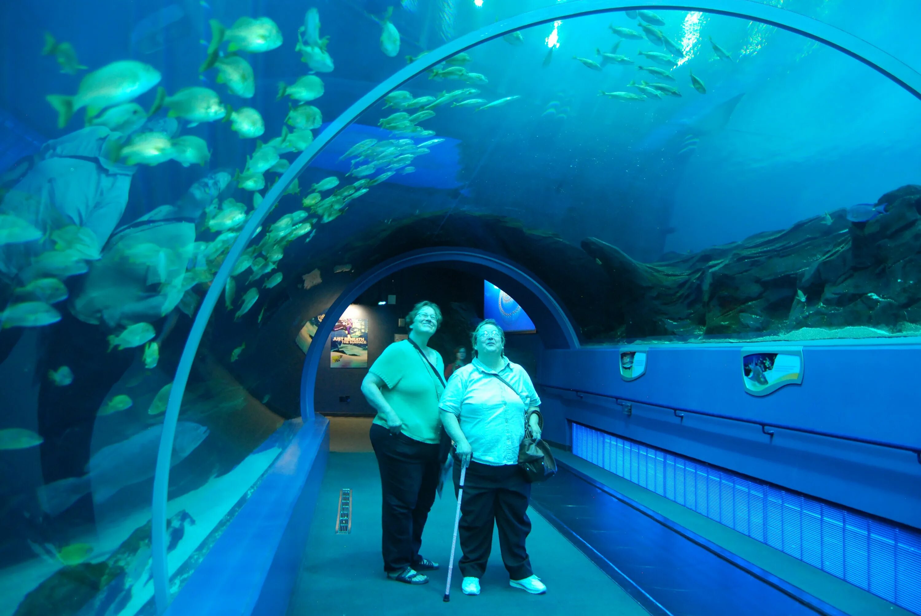 Аквариум Джорджии Атланта. Georgia Aquarium, США. Океанариум Батискаф Анапа. Океанариум Атланта.