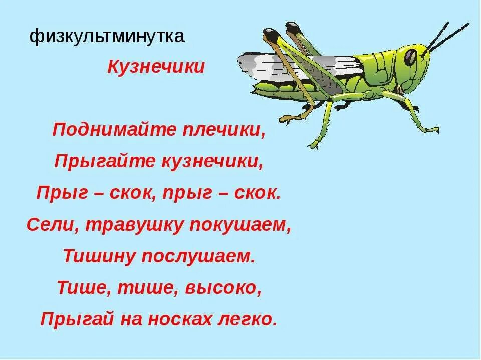 Стих про кузнечика. Загадка про кузнечика. Физминутка Кузнечики. Стихотворение про кузнечика для детей. Что обозначает каждое слово стол кузнечик