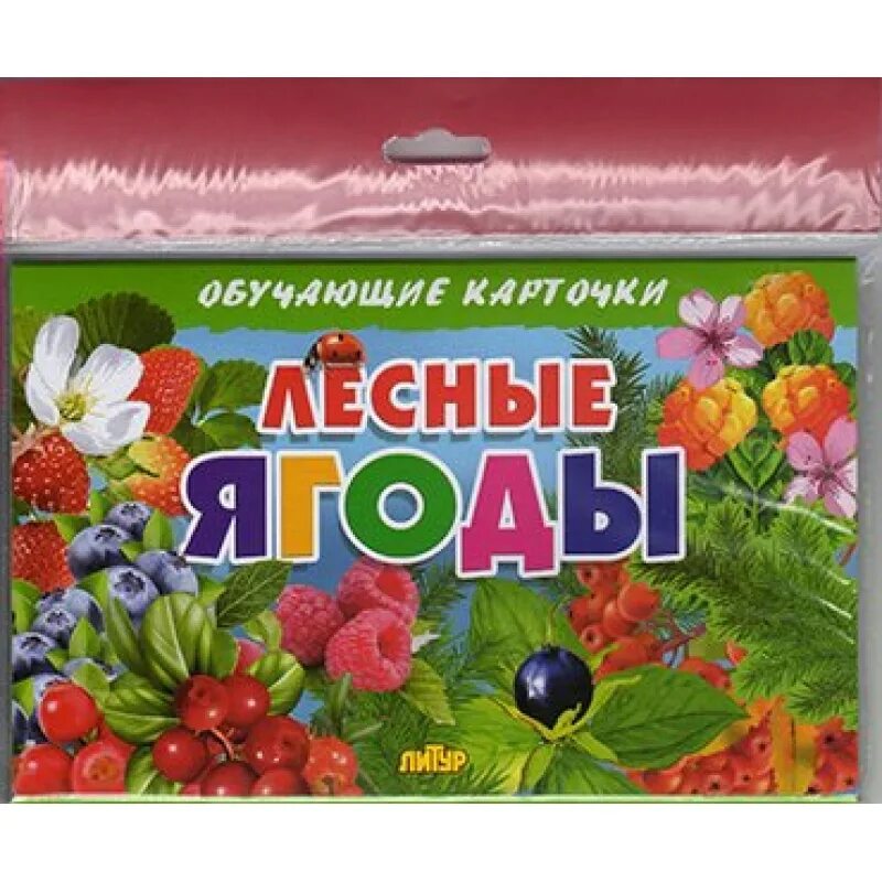 Лесные ягоды словами. Лесные ягоды карточки. Лесные ягоды. Обучающие карточки. Обучающие карточки для детей ягоды. Лесные ягоды для детей.