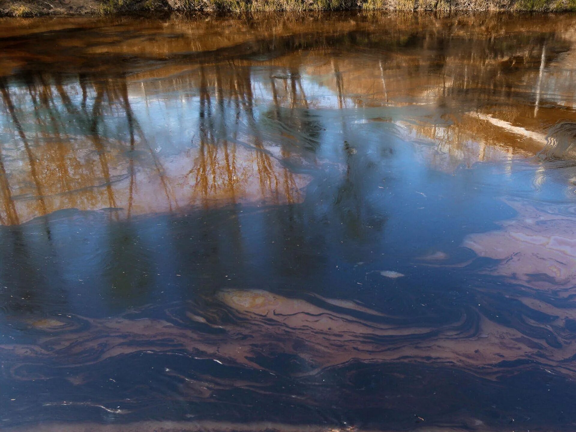 Река Бизяевка. Загрязнение водоемов. Разлив нефтепродуктов на реке. Загрязнение пруда.