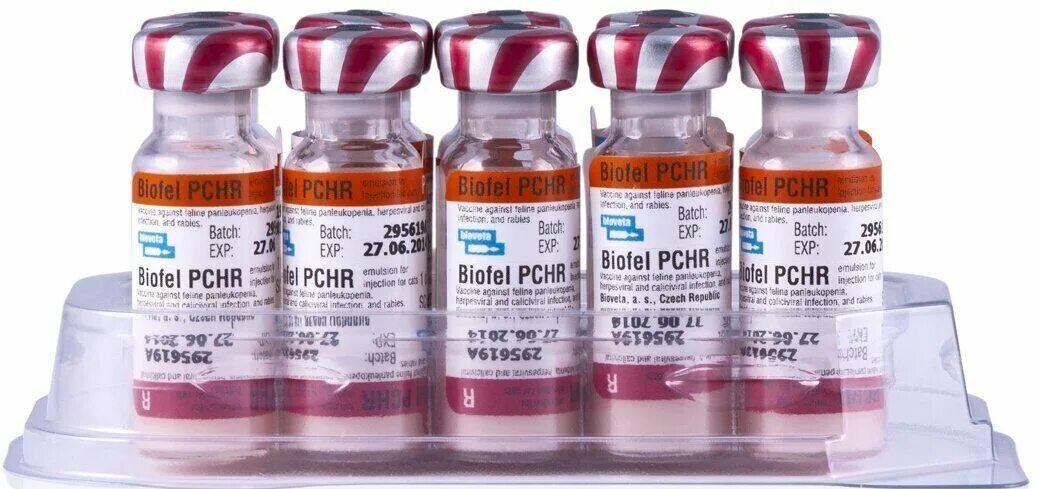 Производители вакцин для кошек. Вакцина Биофел PCH. Биофел чешская вакцина. Биофел PCHR для кошек. Биофел вакцина для кошек.