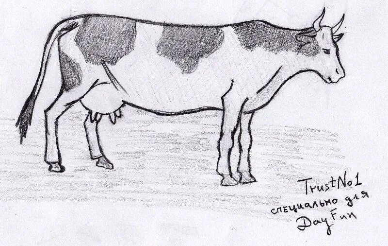 Рассказ корова Платонов рисунок. Рисунок к произведению корова Платонов. Корова рисунок. Корова зарисовка.