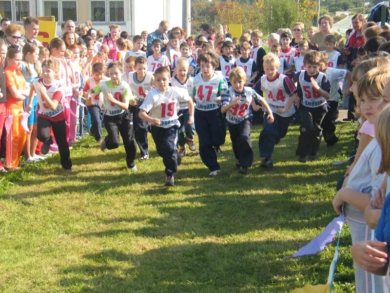 День здоровья в школе. Праздник день здоровья в школе. Проведение дня здоровья в школе. Мероприятия ко Дню здоровья в школе. День здоровья для школьников