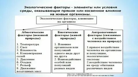 Определение окружающей среды