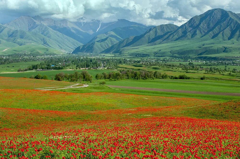 Кыргызстан данных