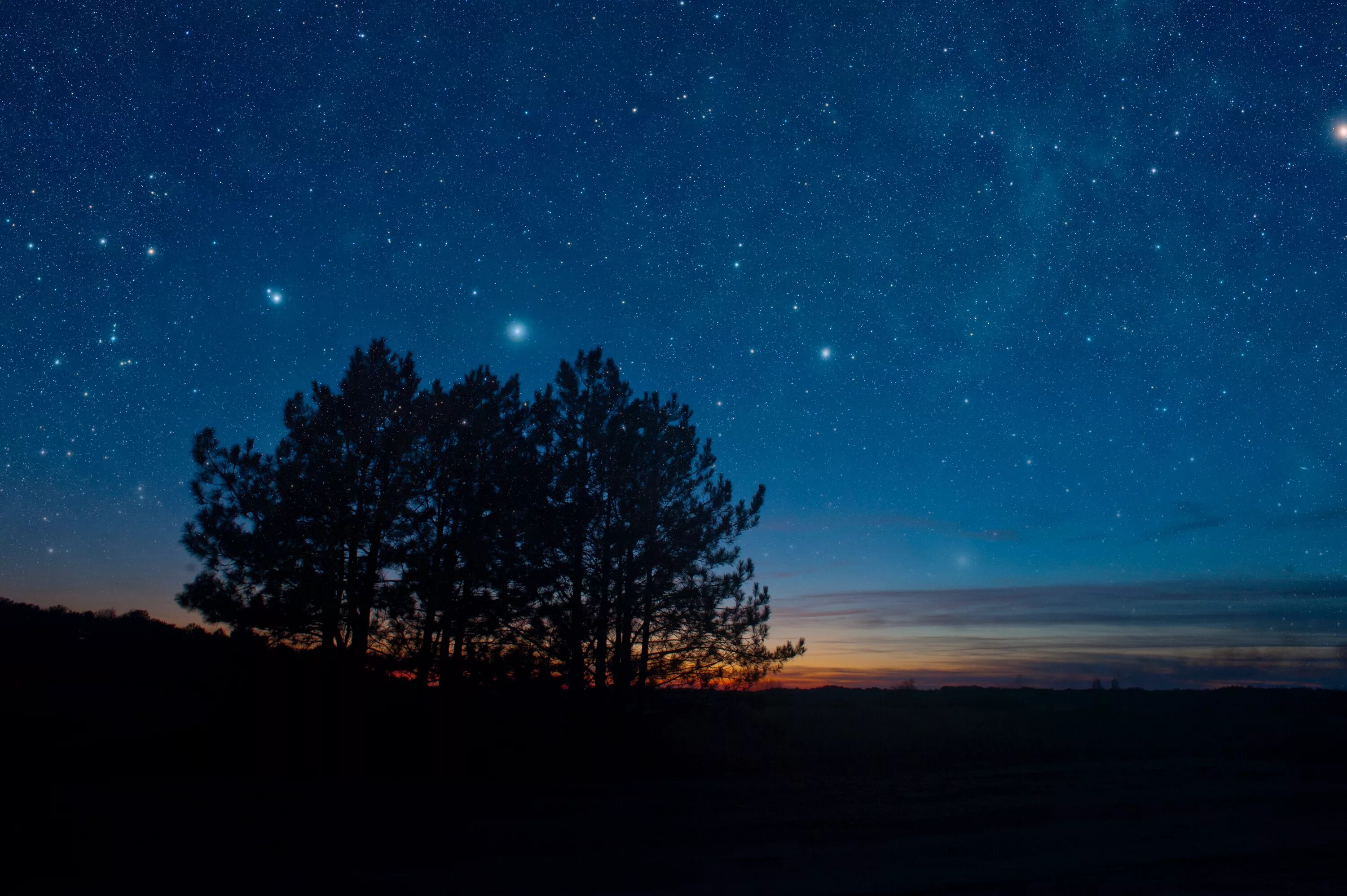 Красивое ночное небо. Звездное небо. Небо ночью. Звезда с неба. Tree star