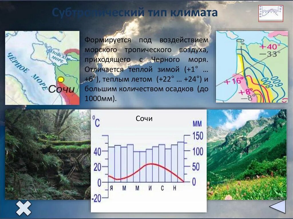 Типы климата. Морской Тип климата. Морской Тип климата в России. Типы климата России. Тип климата в лондоне