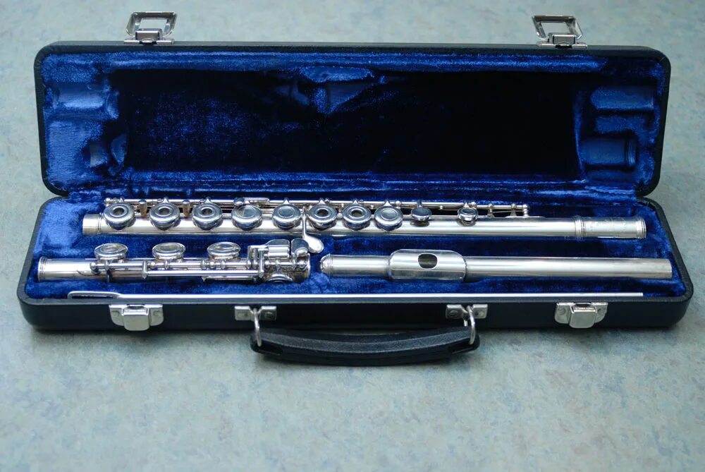 Флейта хорошая. Artley флейта. Футляр для флейты. Футляр для музыкальных инструментов. Флейта в футляре q-Fusion RBEO.