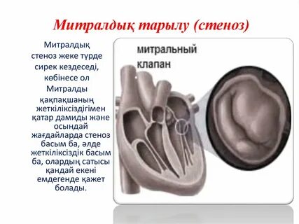Ескі әйелдер іш киімдегі порно фотосуреттер