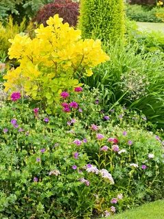 Design Your Prettiest Flower Garden Ever with These 12 Pro Tips.