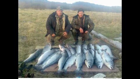 Река охота рыбалка