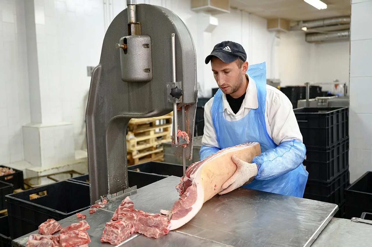 Вакансия колбасный цех. Тосненский мясокомбинат магазин в тельмана. тосненский мясокомбинат в п.тельмана. волковысский мясокомбинат убойный цех. карлинский мясокомбинат в буинске.