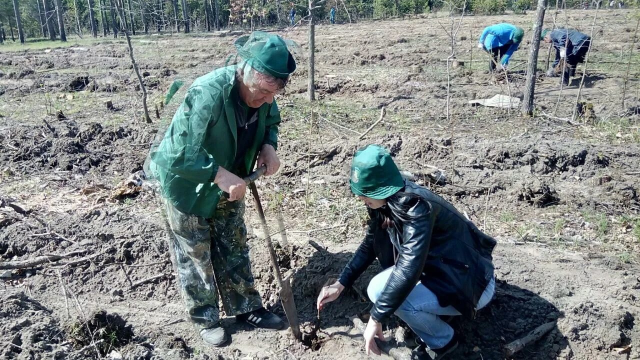 курская область рыльский лесхоз. курское лесничество. лесничество курск. акция сохраним лес курск. лесничество курск.