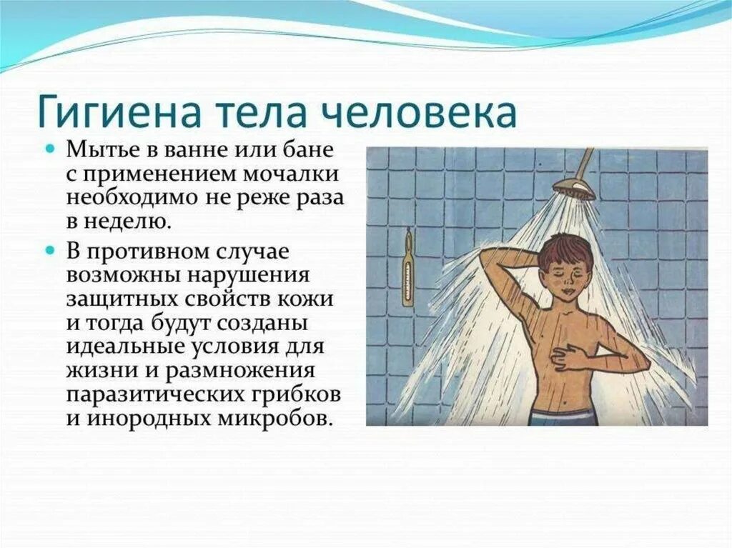 Гигиена тела человека. Гигиена человека правила. Гигиена тела человека. Памятка соблюдение личной гигиены. Гигиена человека.