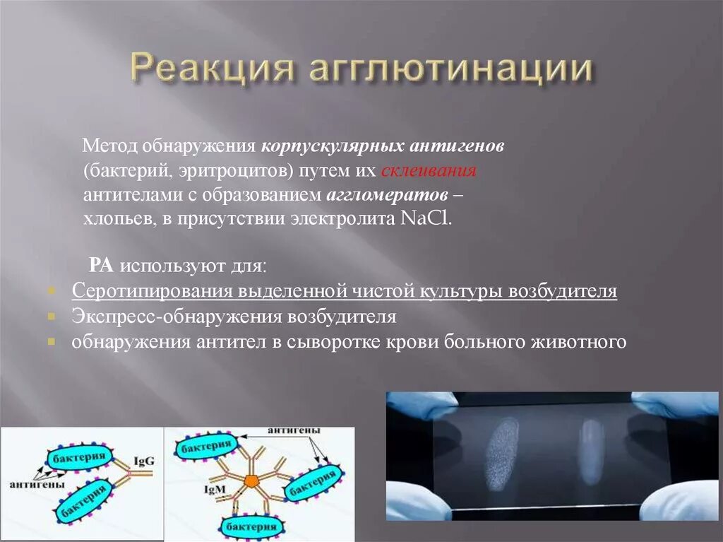 Методы реакции агглютинации