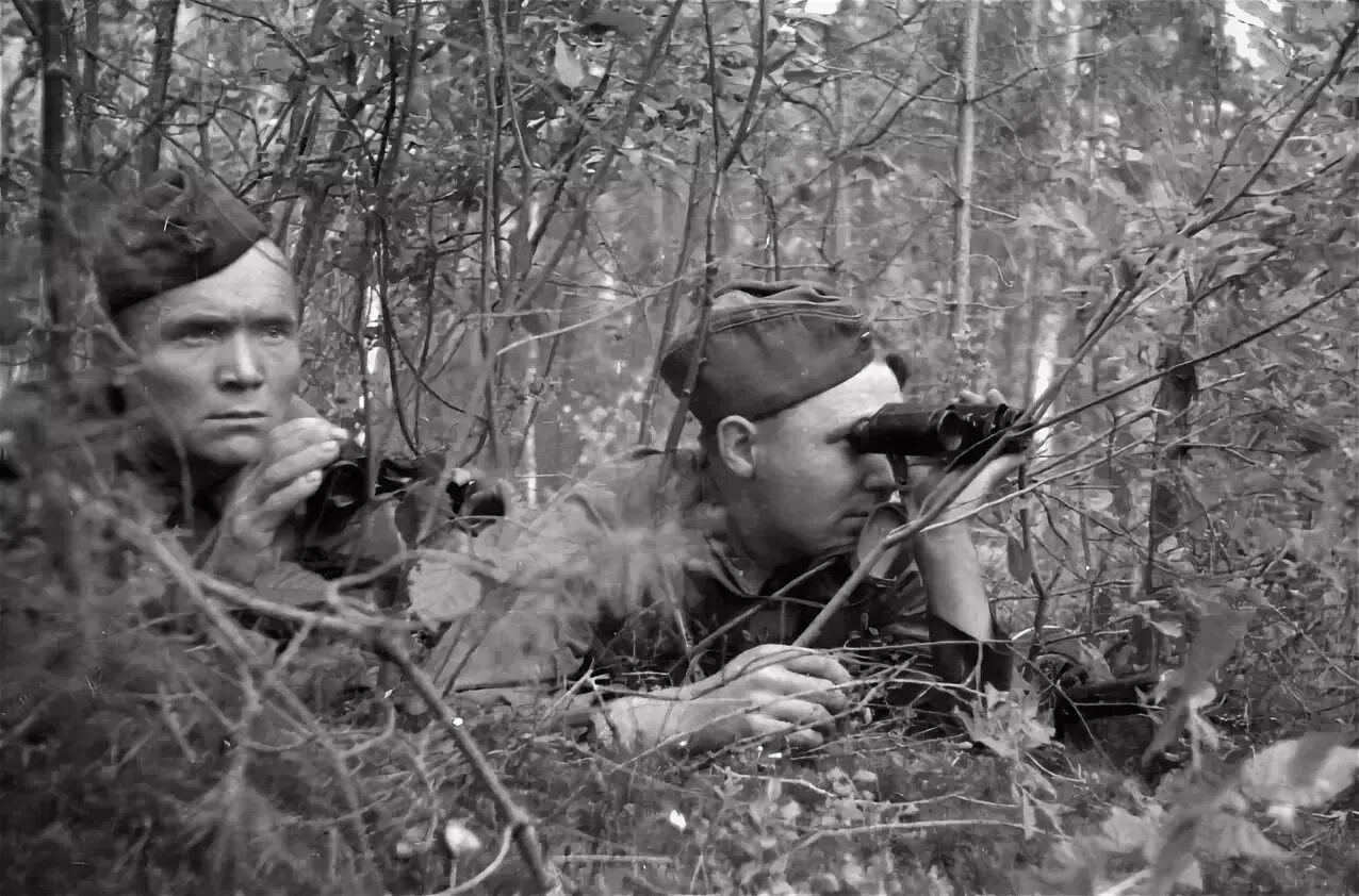 Охотник во время войны. ВОВ 1941-1945 разведчики. Разведчики 1941. Советская разведка ВОВ. Разведчики РККА ВОВ.