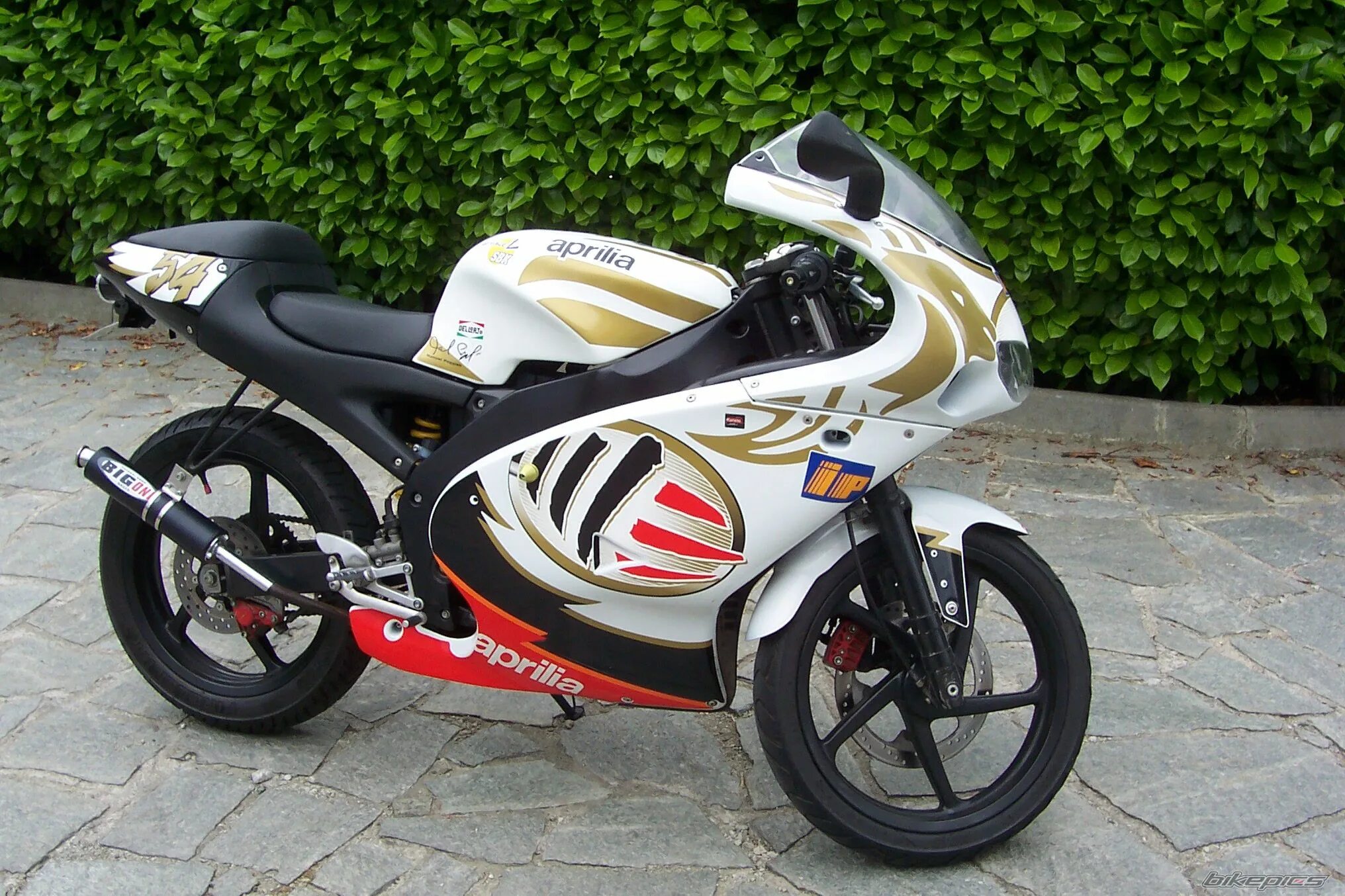 Rs 50 24. Априлия RS 50. Aprilia rs50 1999. Мопед Априлия РС 50. Aprilia RS 50 Replica.