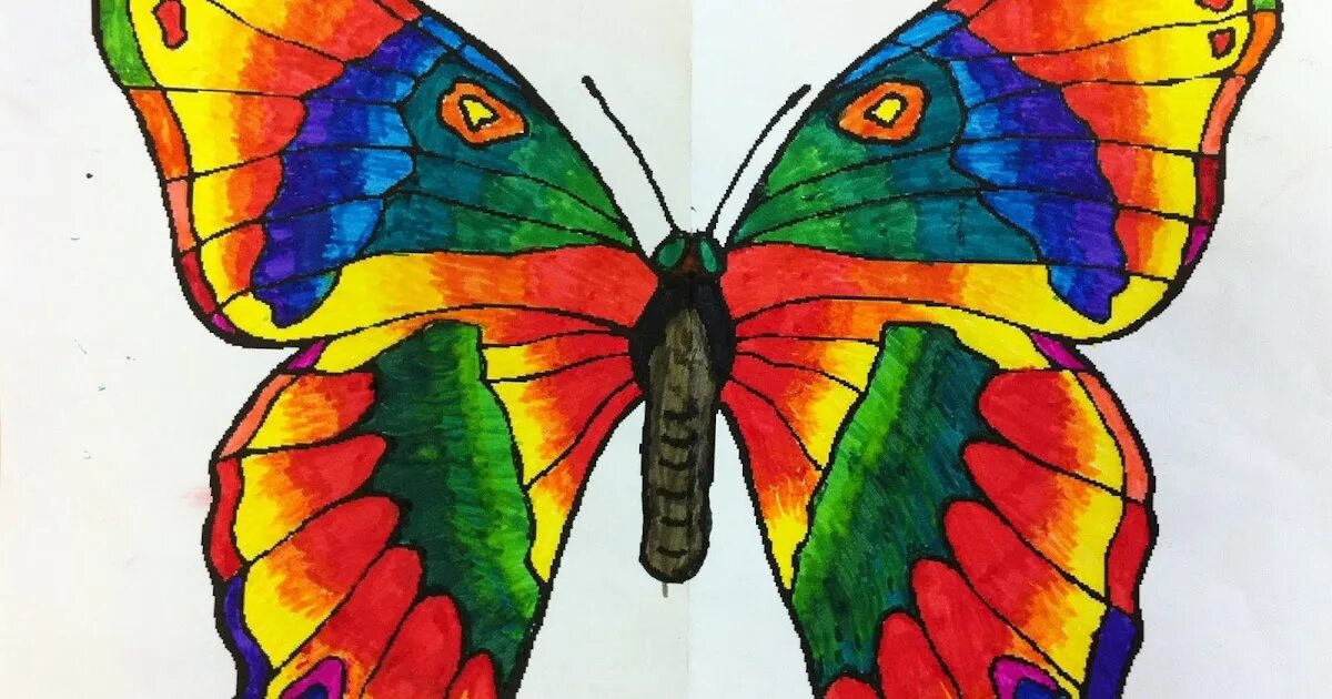 Бабочка рисунок. Бабочка цветными карандашами. Рисование бабочки. Рисование бабочки красками.