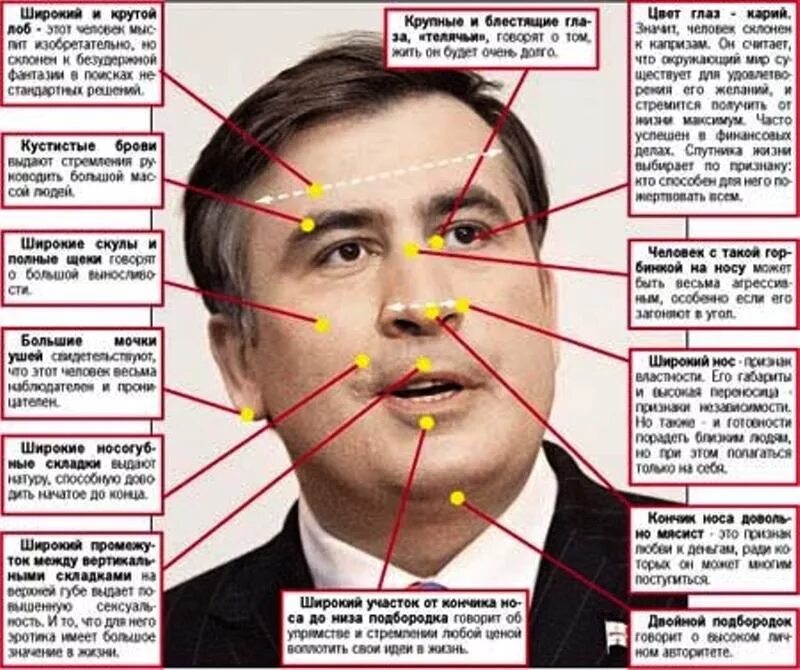 Как определить избранного человека. Физиогномика. Физиогномика лица. Чтение по лицу физиогномика. Распознать по лицу человека.