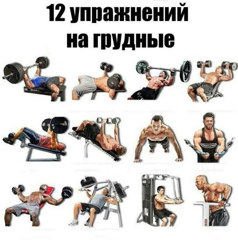 Лучшее упражнение для мышц. Упражнения для тренировки грудных мышц в тренажёрном зале для. тренировка мышц груди. упражнения на грудь. тренировка грудных мышц в тренажерном зале для мужчин.