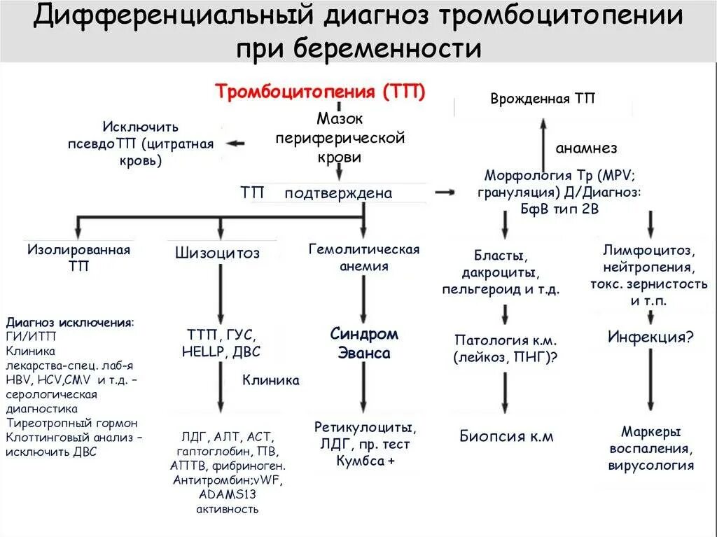 Гемофилия таблица