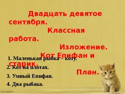 Изложение кот