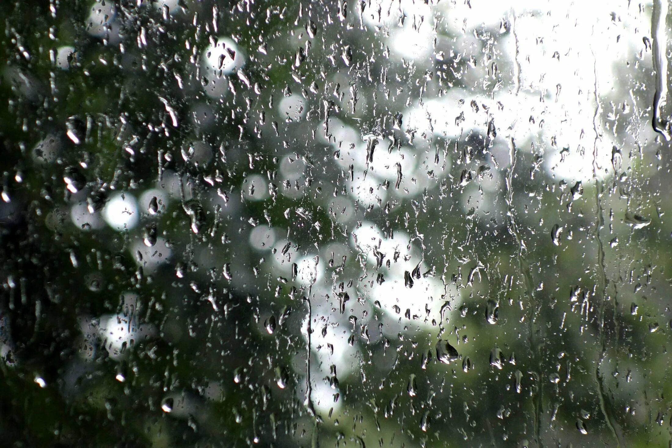 Дождь. Фон дождь. Серый дождь. Дождь в окне.