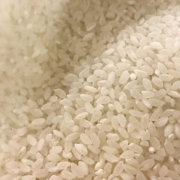 M rice. Круглый рис. Рис круглый в упаковке. Крупный круглый рис.